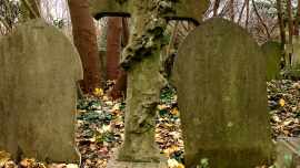 Saint-Jacome Grave